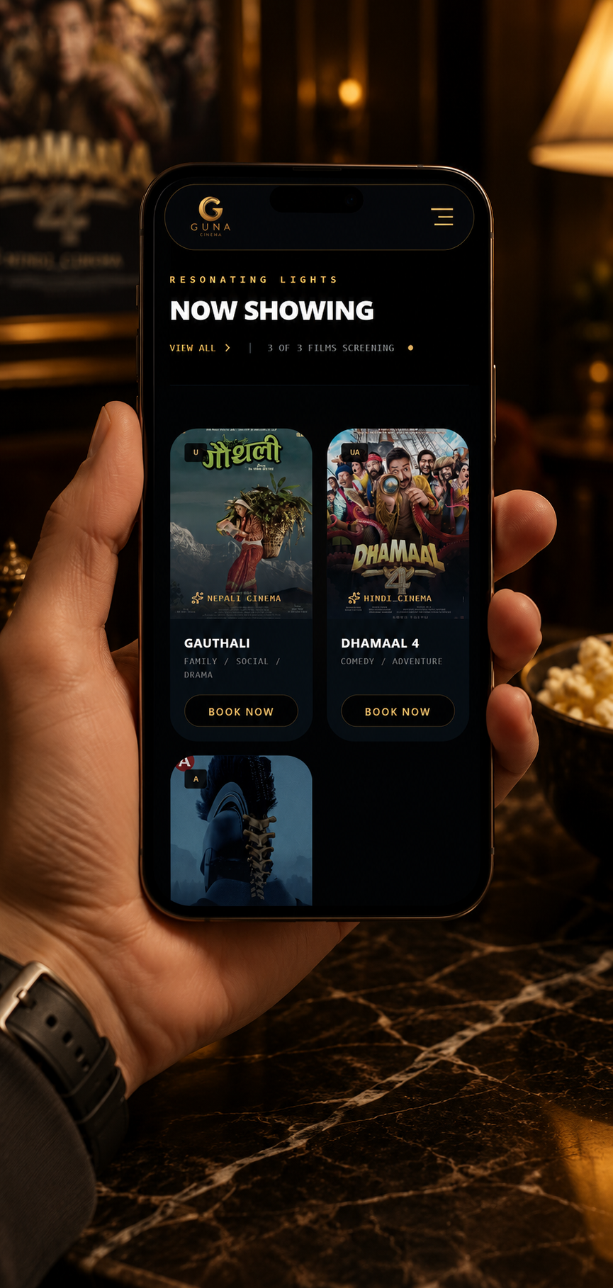 Guna Cinema — detail 2